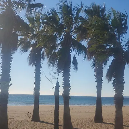 Le Must Cap Hermes, Incroyable Vue Sur Port, T2- * Fréjus